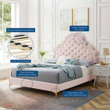 Tatum Tufted Performance Velvet Queen Platform Bed in Pink