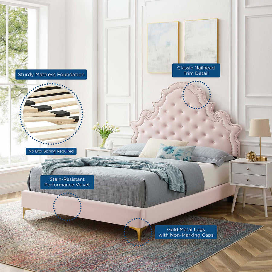 Tatum Tufted Performance Velvet Queen Platform Bed in Pink
