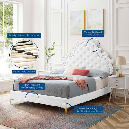 Gwyneth Tufted Performance Velvet Queen Platform Bed in White
