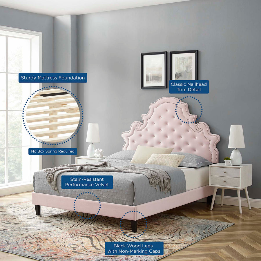 Tatum Tufted Performance Velvet Queen Platform Bed in Pink