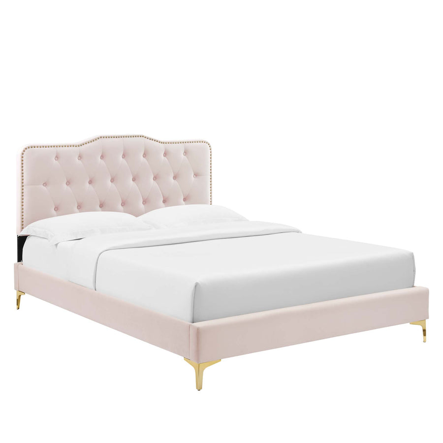 Reese Performance Velvet Queen Platform Bed in Pink