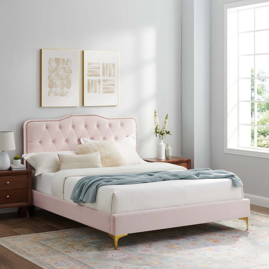 Reese Performance Velvet Queen Platform Bed in Pink