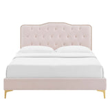 Reese Performance Velvet Queen Platform Bed in Pink