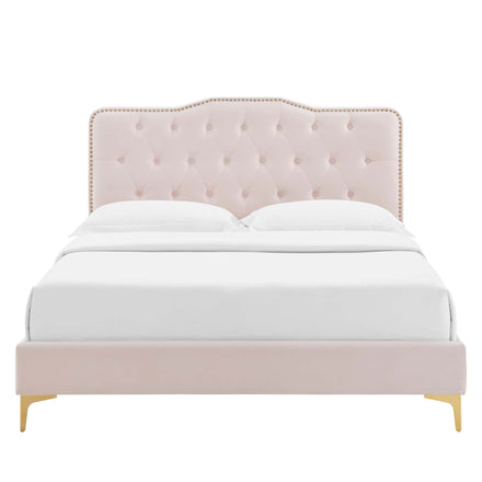 Amber Performance Velvet Queen Platform Bed in Pink