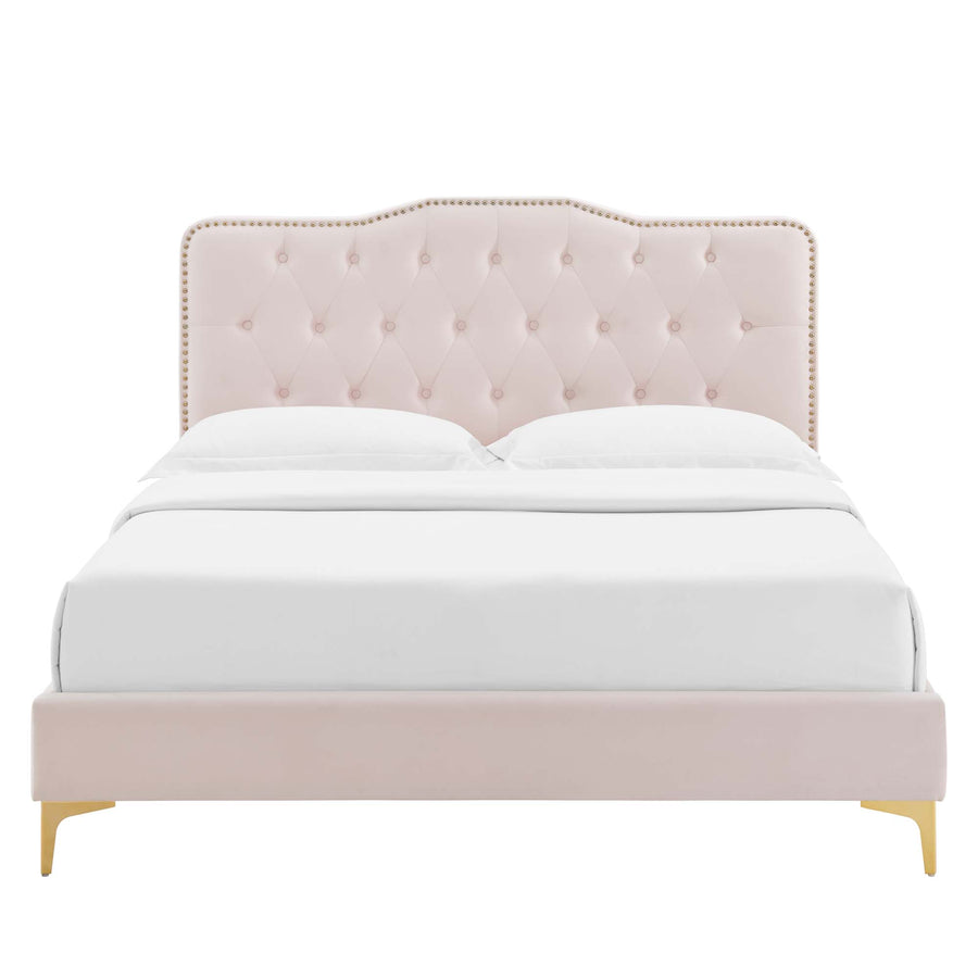 Reese Performance Velvet Queen Platform Bed in Pink