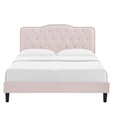 Reese Performance Velvet Queen Platform Bed in Pink