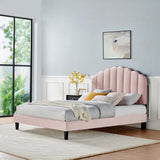 Dome Performance Velvet Full Platform Bed in Pink