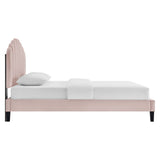 Dome Performance Velvet Full Platform Bed in Pink
