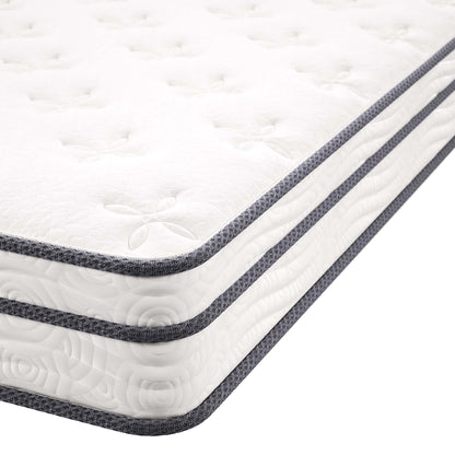 Jenna 6" Innerspring and Foam Queen Mattress by Furniture for America