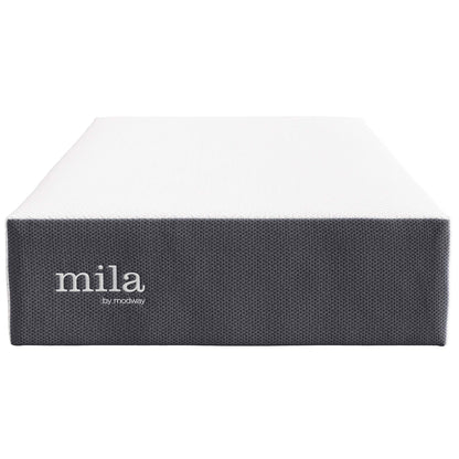 Mila 12" Twin Mattress by Furniture for America