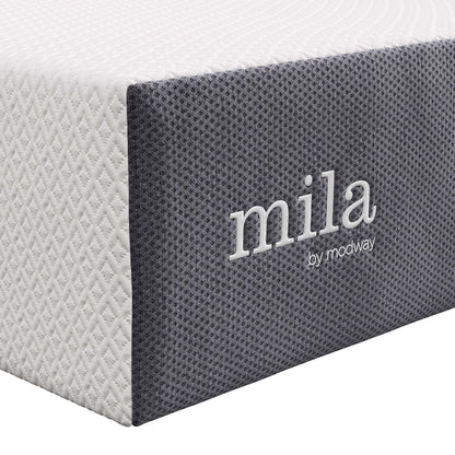 Mila 12" Twin Mattress by Furniture for America