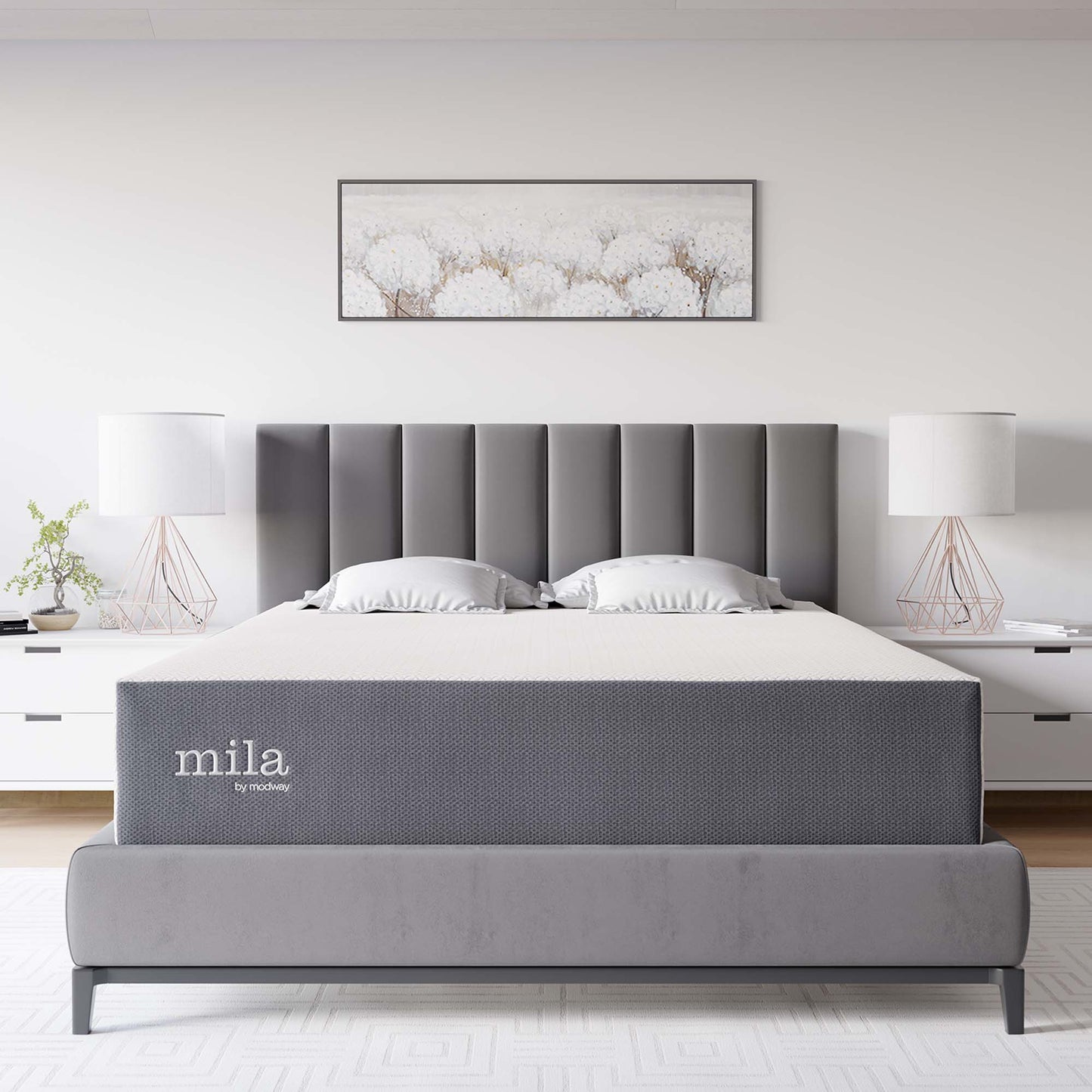 Mila 12" Queen Mattress by Furniture for America