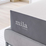 Birch 12" King Mattress in White