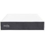 Birch 12" King Mattress in White
