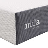 Birch 12" King Mattress in White