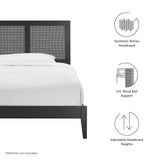 Madder Rattan and Wood Twin Platform Bed in Black