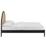 Senja Queen Arched Rattan Cane Platform Bed in Black