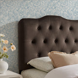 Sage Stain-Resistant Performance Velvet Twin Headboard in Chocolate Brown