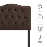 Sage Stain-Resistant Performance Velvet Twin Headboard in Chocolate Brown