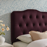 Sage Stain-Resistant Performance Velvet Twin Headboard in Mulberry